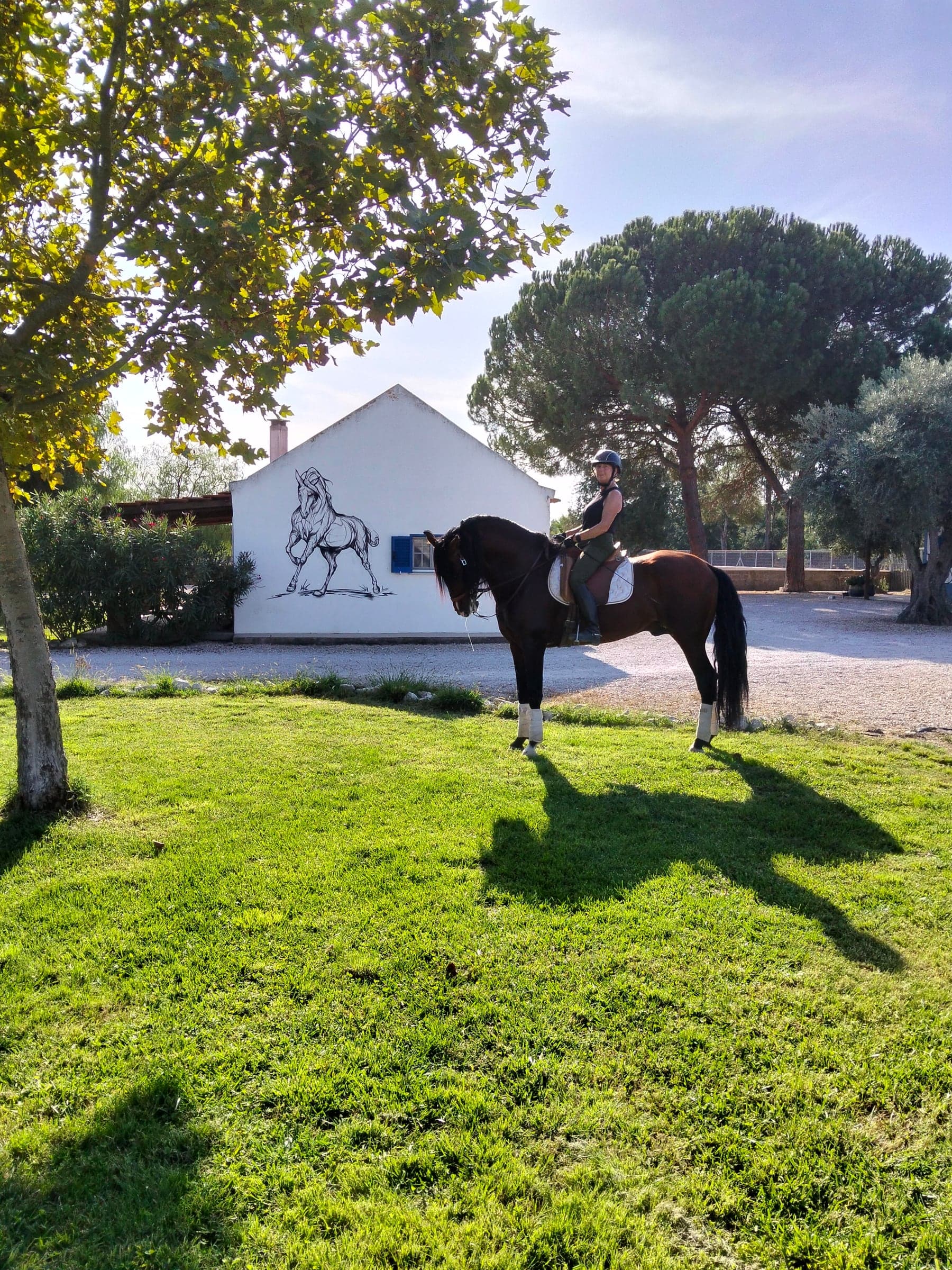 Lusitano horse with rider at Equiliberdade, Ribatejo