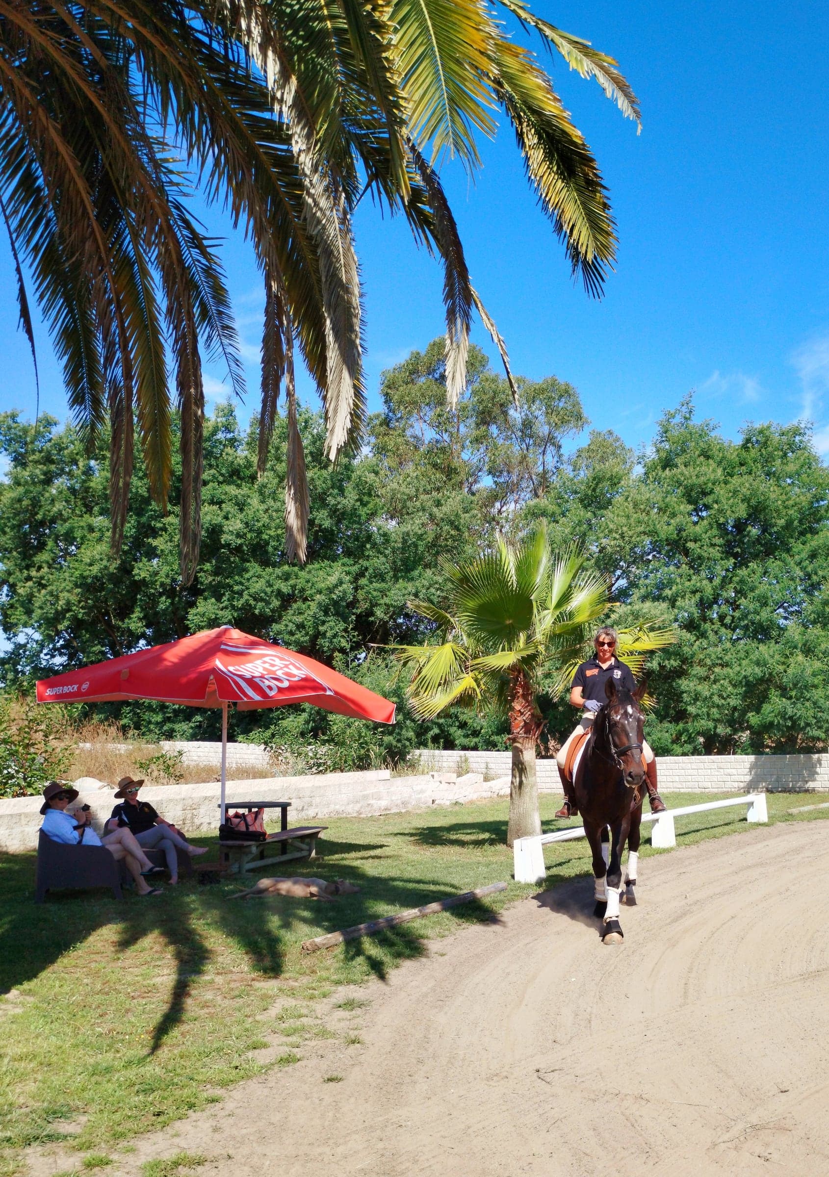 Riding Holidays