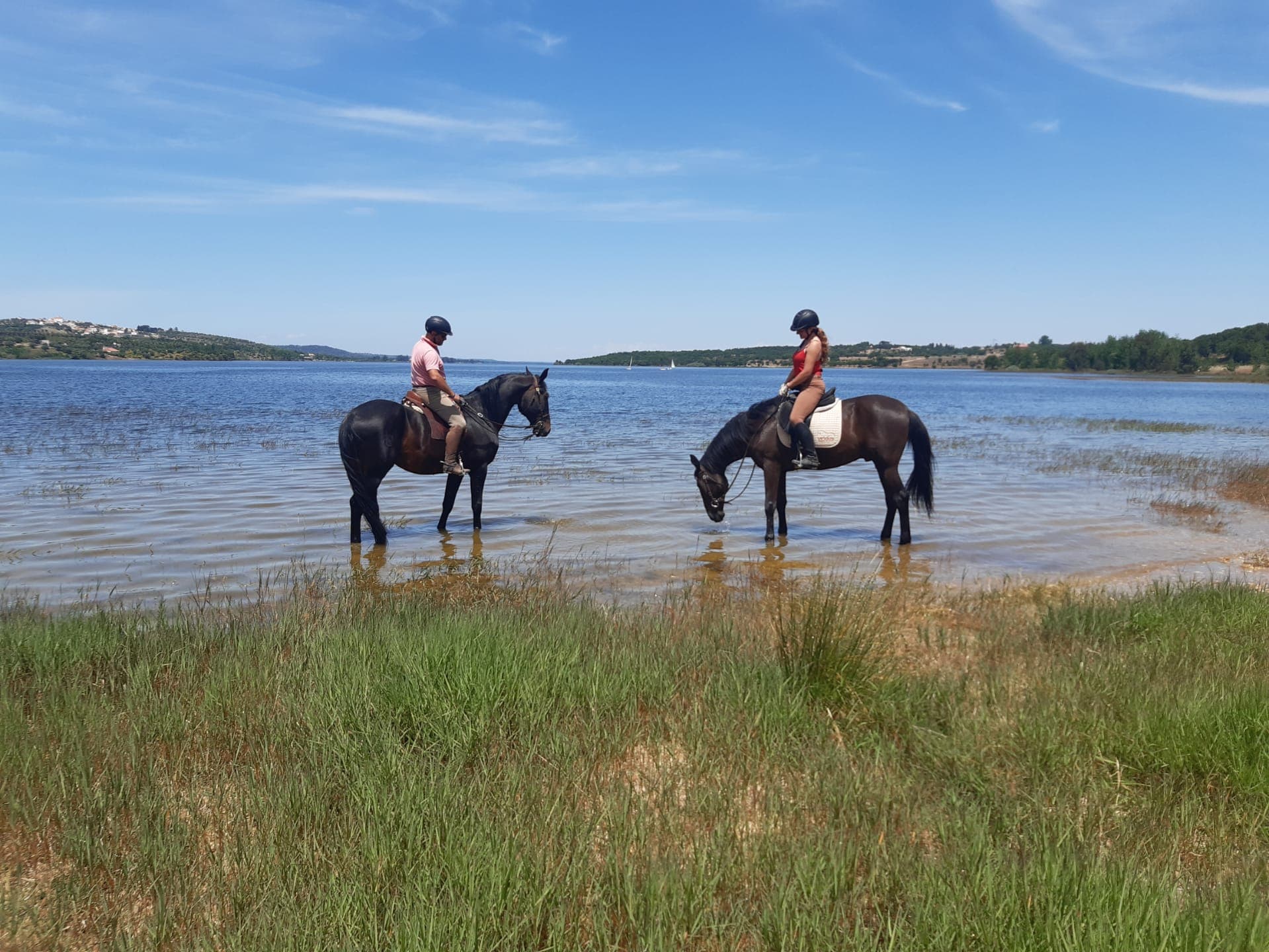 Trail Rides