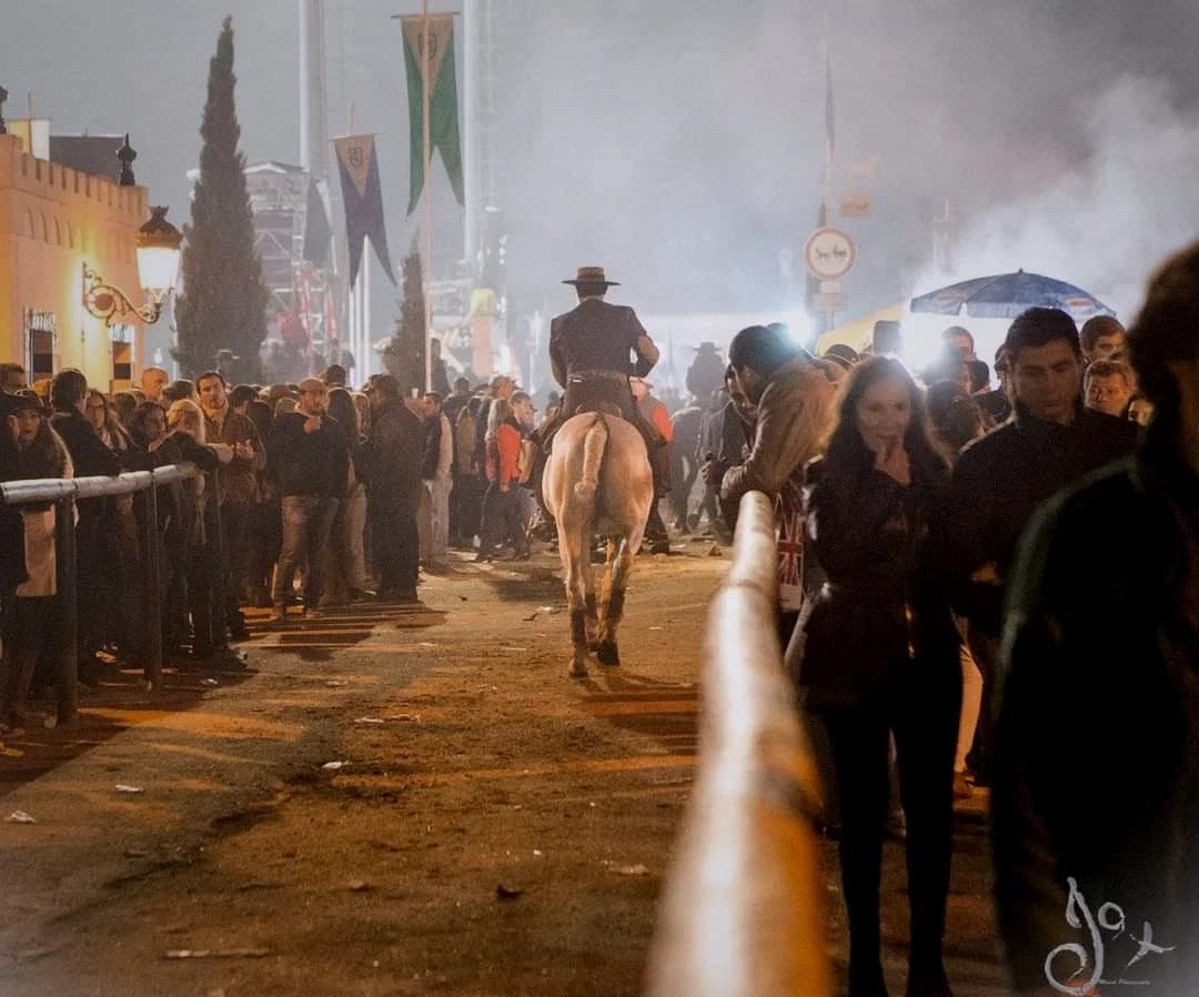 Golegã Festival