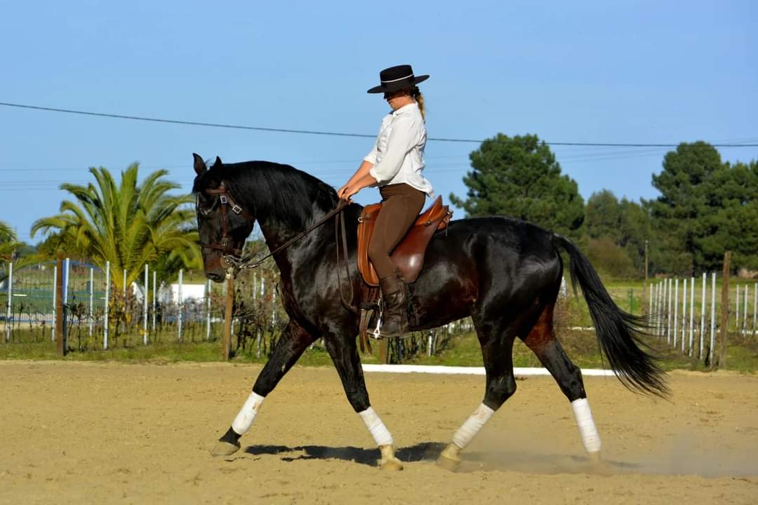 Trail riding through Ribatejo, Portugal