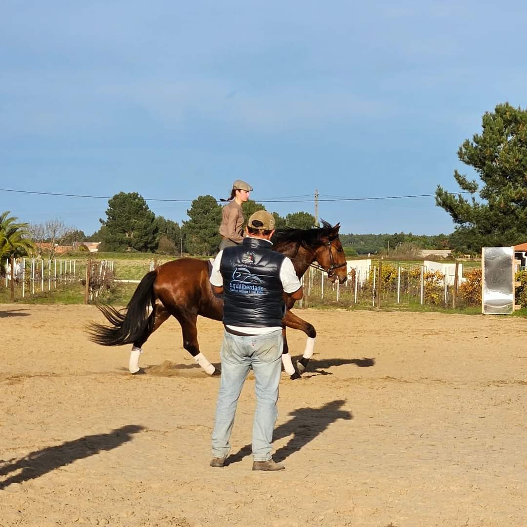 Classical dressage at Equiliberdade Farm