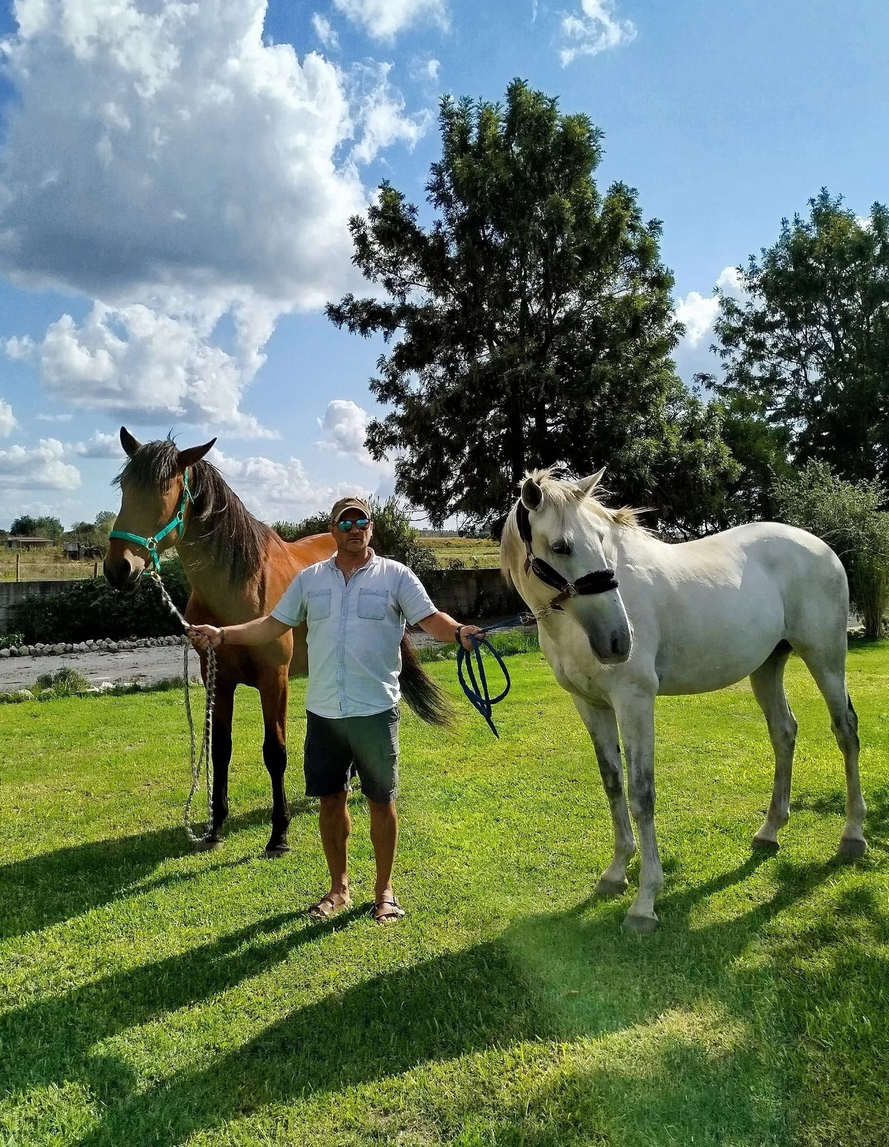 Equine Therapy & Relaxation