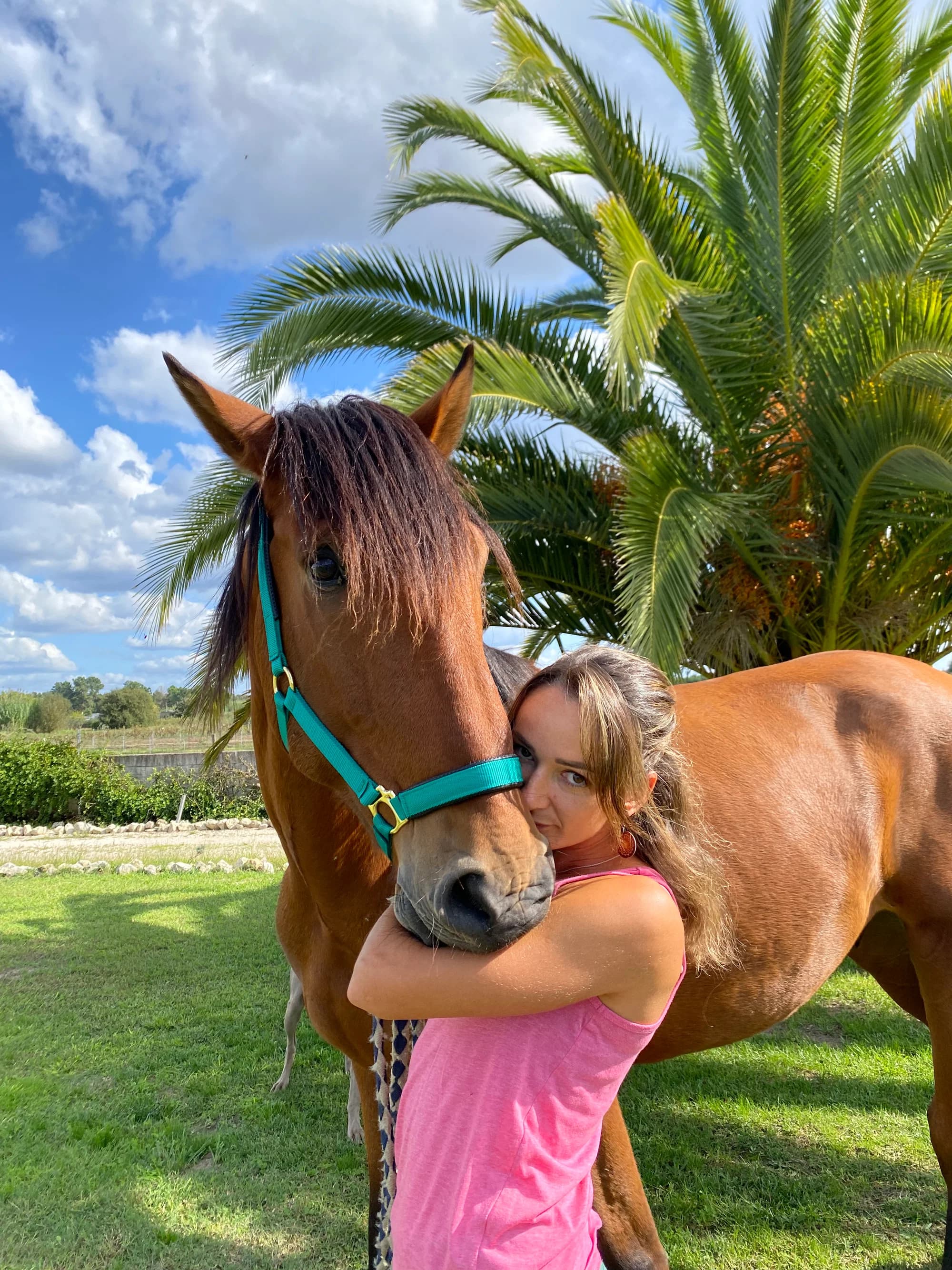 Lusitano horse and rider at Equiliberdade