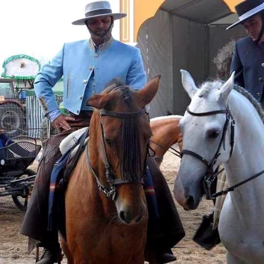 Relaxing Yoga with Horses