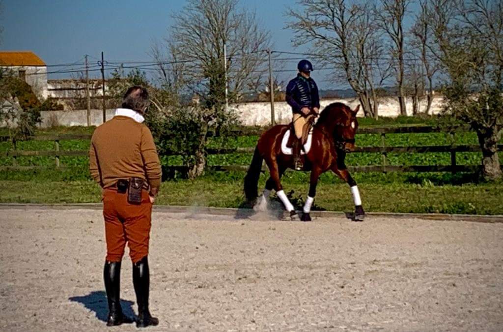 Classical dressage at Equiliberdade Farm
