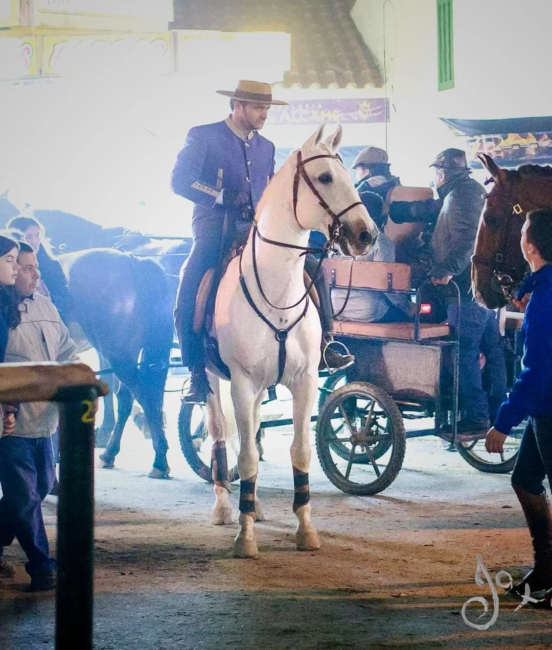 António Pedro Costa, Lusitano horseman and instructor