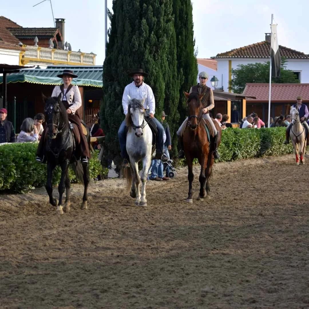 Lusitano horse and rider at the Golegã festival, Portugal